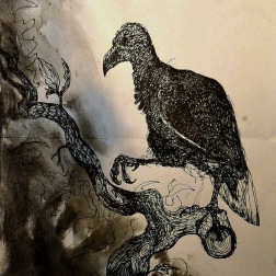 Vulture on a Branch (2016) pen & charcoal